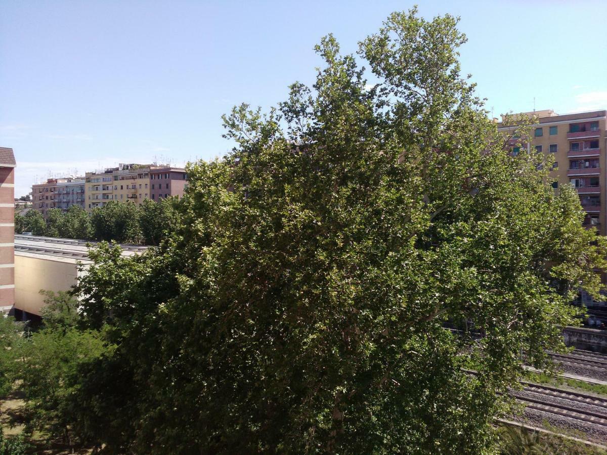 Ostiense Guest House - Rome, Rome